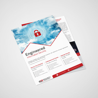 Flyer-6