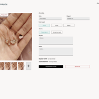 Jewelry shop management II