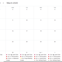 Schedule Management via Google Calendar