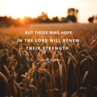 Created through Canva application