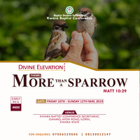 Branding for Divine Elevation conference 1