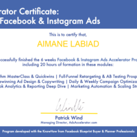 Advanced Facebook & Instagram ads