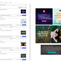 Social Media Management