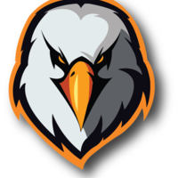 Vector Image