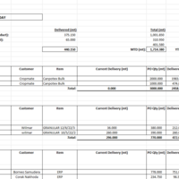 Delivery Daily Report