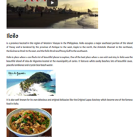 Portfolio Thumbnail 13