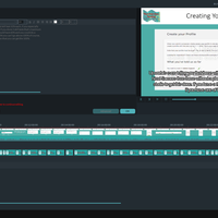 Subtitling