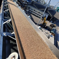 Grain Handling Project in Kenya 
