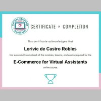 e-commerce VA certificate