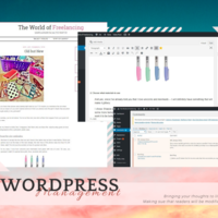 Portfolio Thumbnail 17
