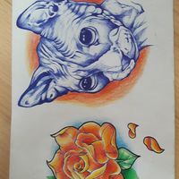 Portfolio Thumbnail 28