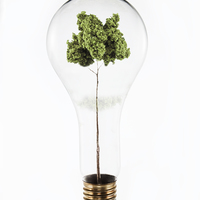 Portfolio Thumbnail 1