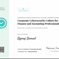 Corporate Cybersecurity 