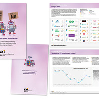 CXi Report Front  back covers with inside spread