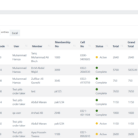 PAF Skyviews - Orders Listing using API posted Data