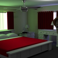 Image 7