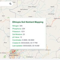 Smart Soil monitoring 