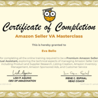 Amazon Seller VA Masterclass