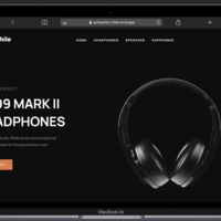 Audiophile- ccomerce website