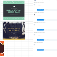 Social Media Management