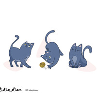 Ali the cat