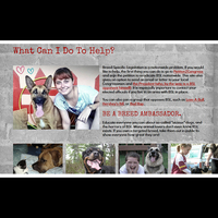Interior page - Breed Specific Legislation website