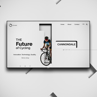 Portfolio Thumbnail 2