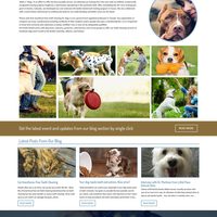 Portfolio Thumbnail 5