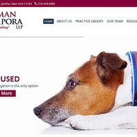 Silverman a wordpress site