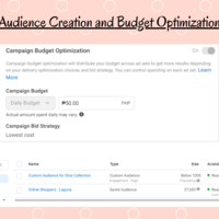 Audience creation and Budget Optimization