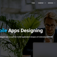 WordPress Website for IT Company
