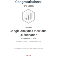 Google Analytics Individual Qualification