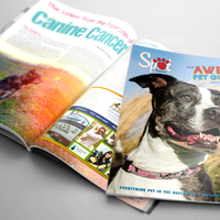 Magazine Design