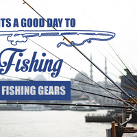 BoonieCamp Social Media Posting