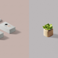 Portfolio Thumbnail 4