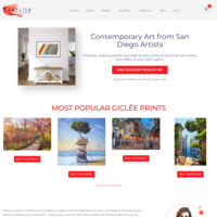 Website Design and Development