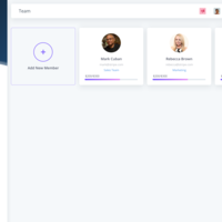 SAAS - Finance Project 1