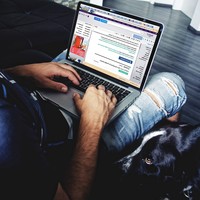 Virtual Assistant/ Personal Assistant/ Manager