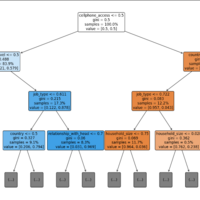 Decision logic of DT model