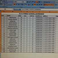 data entry in excel