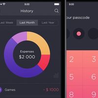 Daily expense App